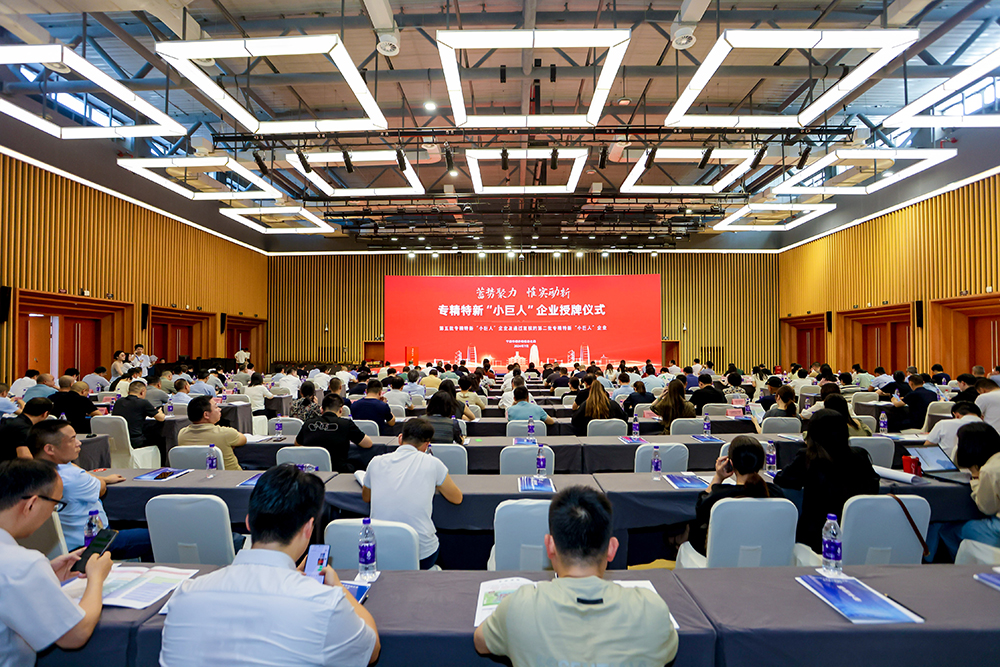 公司成功通過(guò)專(zhuān)精特新“小巨人”企業(yè)復評，創(chuàng  )新實(shí)力再獲認可(圖3)